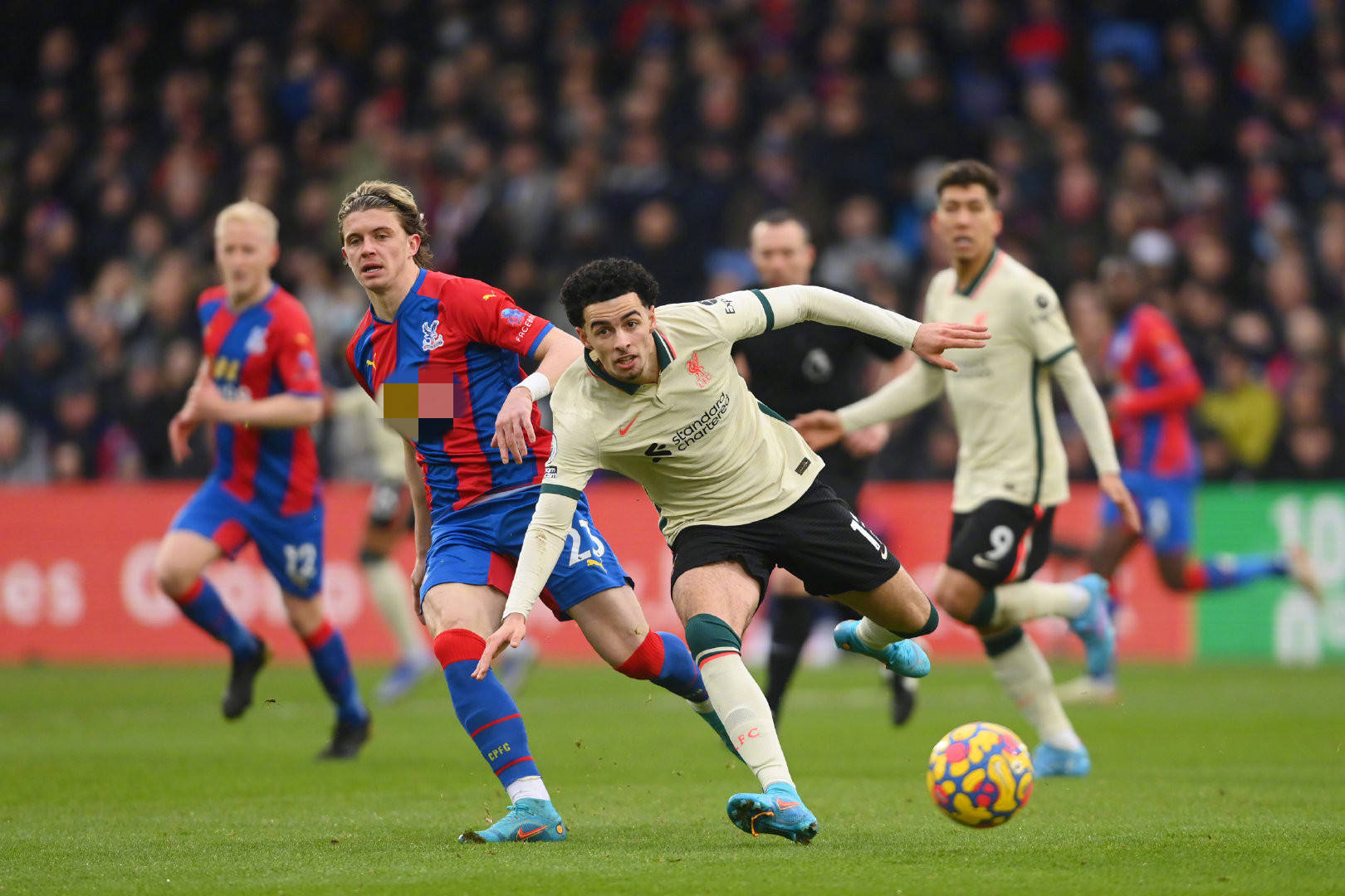 展现了更强 展现了更强